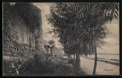 AK Pleskau, Panorama mit Burg