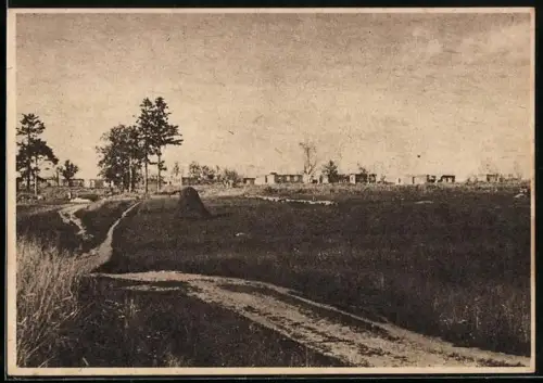 AK Demjansk, Bjeli Bor, Kampfraum der schleswig-holsteinischen Infanterie-Division, Panorama 1942