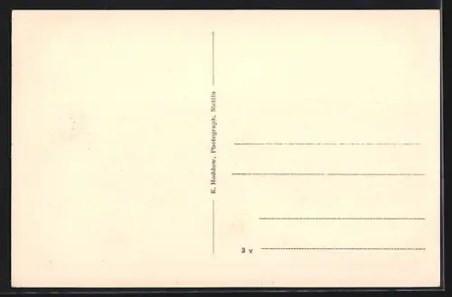 AK Stettin, Panoramablick zur Hakenterrasse