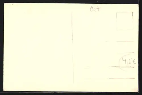 AK Gniezno, Widok ogólny