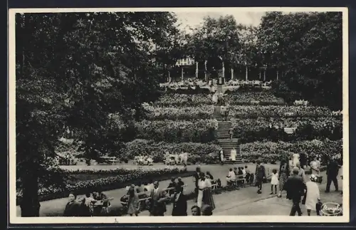 AK Kahlberg, Partie im Kurgarten