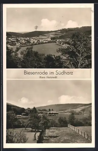 AK Biesenrode im Südharz, Ortsansichten