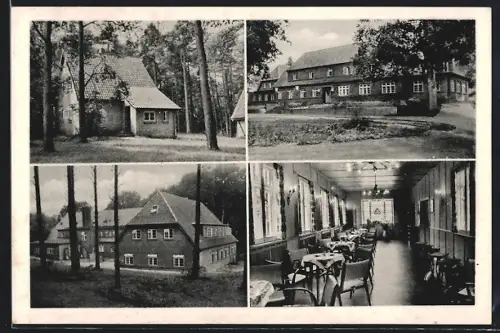 AK Undeloh /Harburg, Erholungsheim G. m. b. H. Albert-Thiele-Heim, Gebäude, Speisesaal