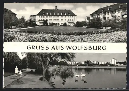 AK Wolfsburg, Wohnsiedlung, Teich mit Schwänen
