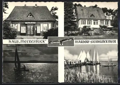 AK Mardorf /Steinhuder Meer, Haus Meeresblick, Inh. Ursula Dorn