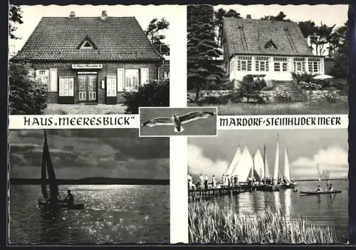 AK Mardorf /Steinhuder Meer, Pension Haus Meeresblick, Inh. Ursula Dorn
