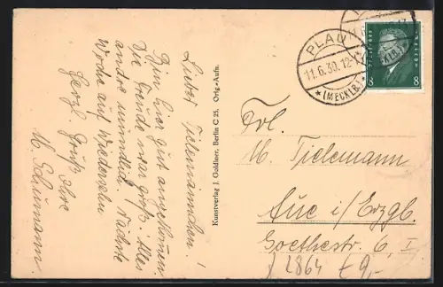 AK Plau i. Mecklb., Totalansicht mit Strassenpartie