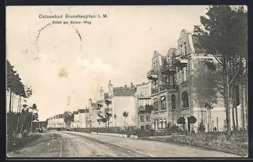 AK Brunshaupten i. M., Ostseebad, Villen an der Strasse Bülow-Weg