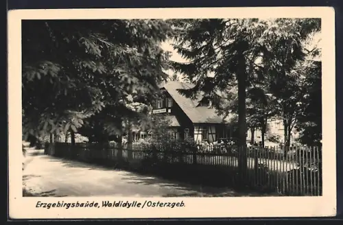 AK Waldidylle /Erzgeb., Gasthaus Erzgebirgsbaude