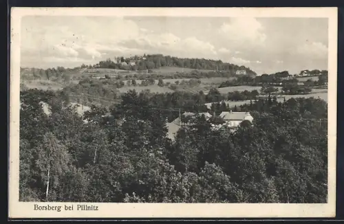 AK Borsberg b. Pillnitz, Ortsansicht aus der Vogelschau