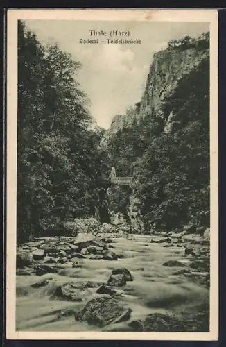 AK Thale /Harz, Bodetal, Teufelsbrücke