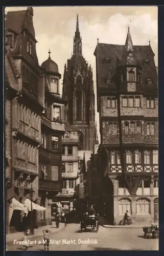 AK Alt-Frankfurt, Alter Markt, Domblick