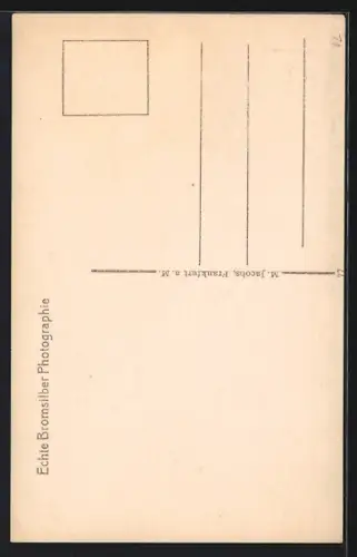 AK Alt-Frankfurt, Alter Markt, Domblick