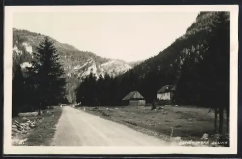 AK Demanovska, Dolina