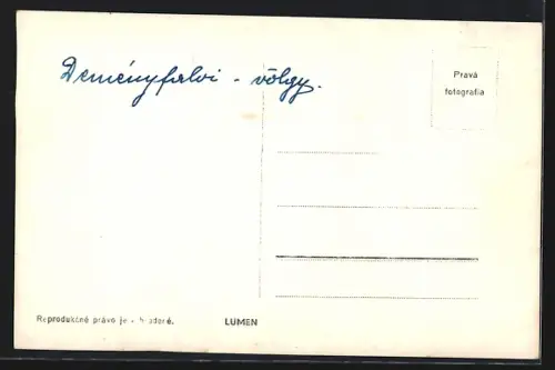 AK Demanovska, Dolina