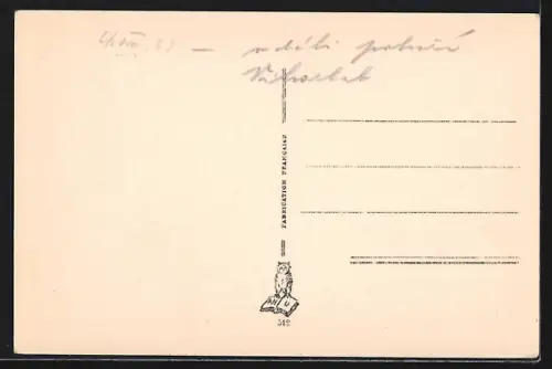 AK Uzhorod, Celkový pohled