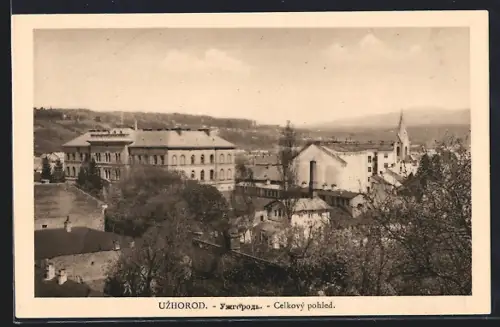 AK Uzhorod, Celkový pohled
