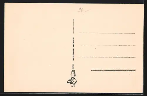 AK Uzhorod, Celkový pohled