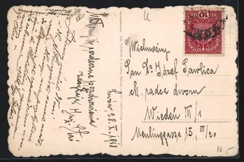 AK Lwow, Ogolny widok i dom inwalidow