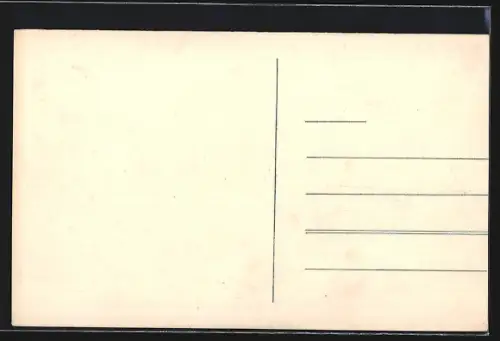 AK Uzhorod, Panorama mit Strassenpartie