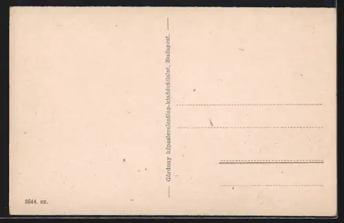 AK Csap, Róm. kat. templom, Utcarészlet a ref. templommal