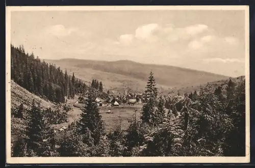 AK Sinovirska Polana, Panorama