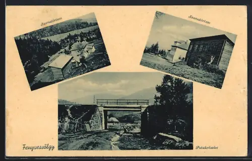 AK Fenyvesvölgy, Szanatórium, Patakrészlet