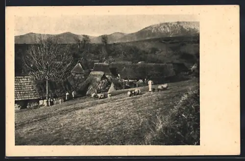 AK Fenyvesvölgy, Podkarpatská Rus., Partie z okoli Stavné