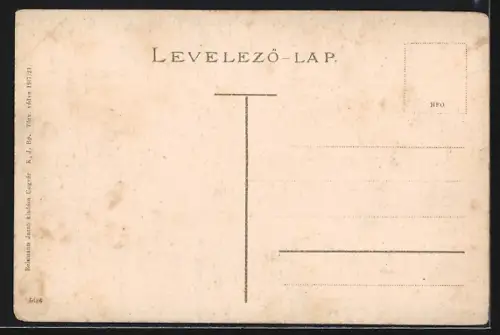 AK Ungvár, Látkép a megyeházával