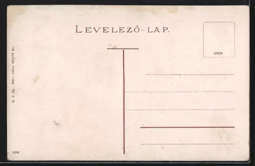 AK Ungvár, Látkép a megyeházával