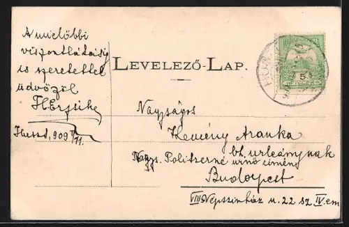 AK Huszt, Huszti vár