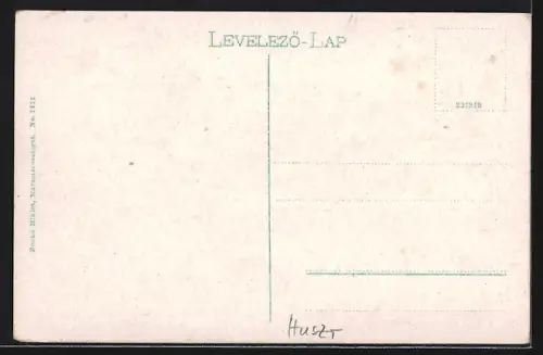 AK Huszt, Huszti vár