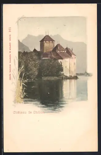 AK Chillon, Le Château