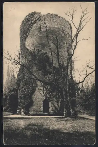 AK Genève, La Tour d`Hermance