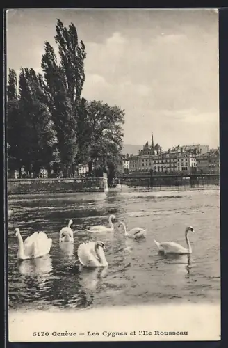 AK Genève, Les Cygnes et l`Ile Rousseau