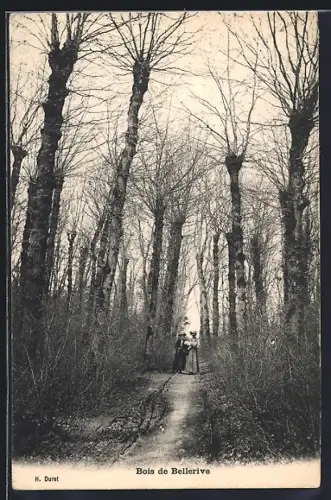 AK Geneve, Bois de Bellerive