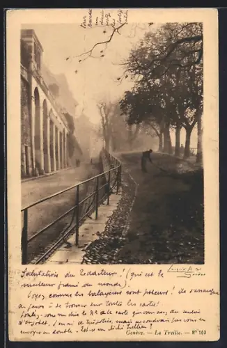 AK Genève, Strassenpartie mit Bäumen