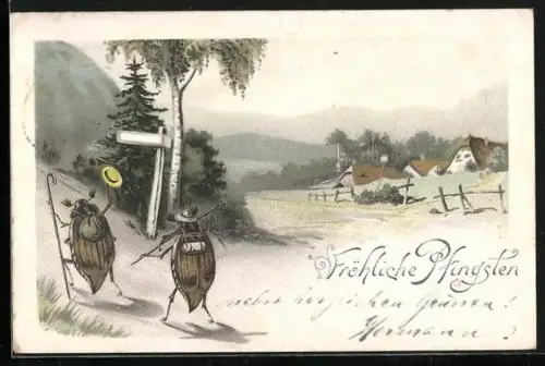 Lithographie Zwei Maikäfer auf Wanderschaft vor einem kleinen Ort in den Bergen