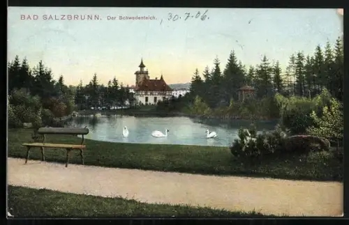 AK Bad Salzbrunn, Der Schwedenteich mit Schwäne
