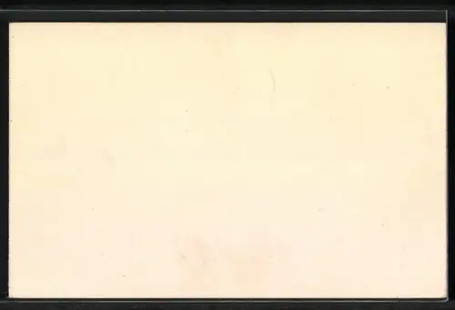 AK Toblach, Toblacher See mit Hotel