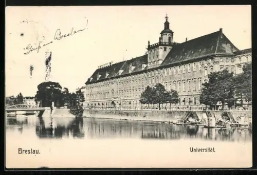 AK Breslau, Universität