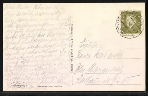 AK Bad Kudowa, Panorama mit Heuscheuerstrasse