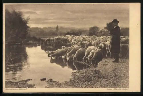 AK Hirte mit Schafherde am Wasser