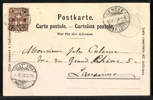 AK Chillon, Festung am Seeufer, Passepartout mit weisser Narzisse