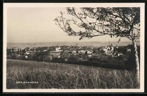 AK Avenches, Ortspanorama