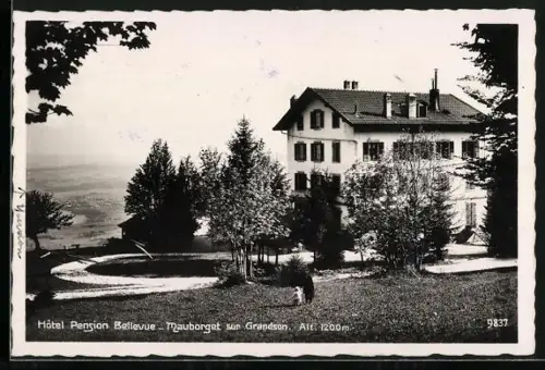 AK Mauborget sur Grandson, Hotel Pension Bellevue
