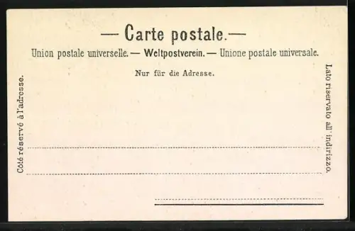 AK Vevey, Entre deux Villes