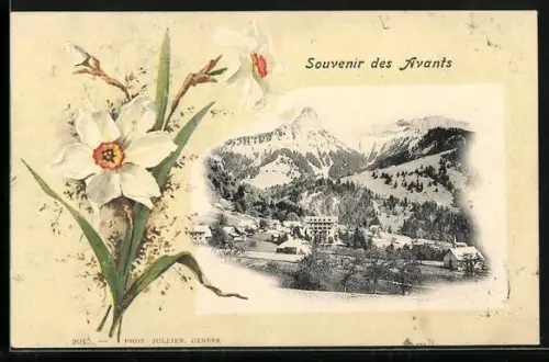 AK Les Avants, Ortsansicht aus der Vogelschau