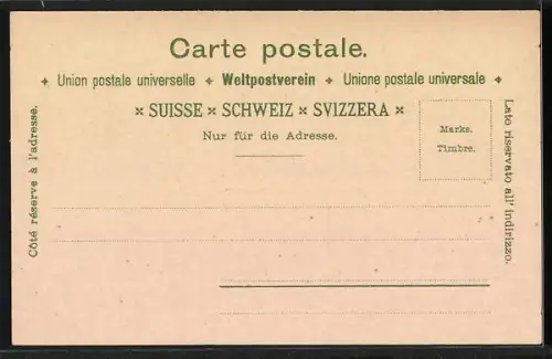 Lithographie Murten, Gesamtansicht, Karl der Kühne