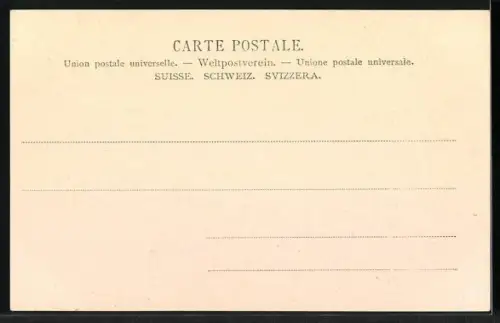 AK Lausanne, Banquet des Jordils 1791